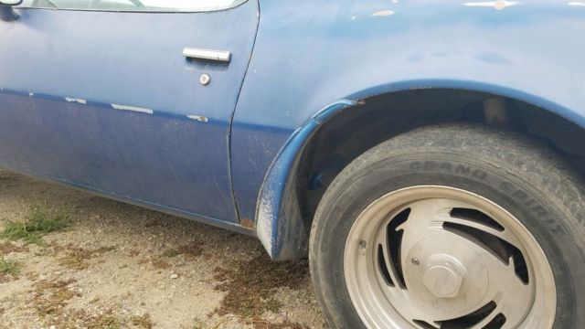 1978 Pontiac Trans Am - photo 11