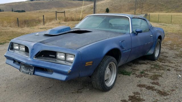 1978 Pontiac Trans Am - photo 5