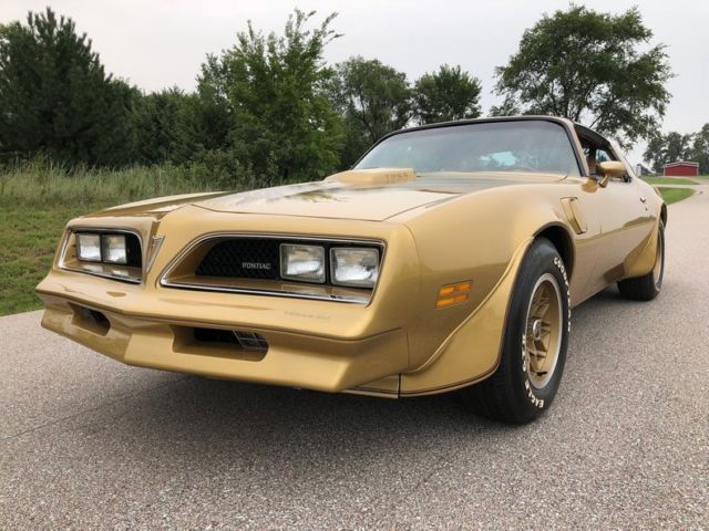 1978 Pontiac Trans Am Y88 - photo 11