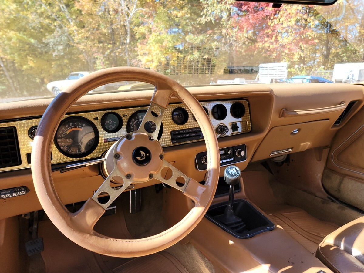 1978 Pontiac Trans Am - photo 12