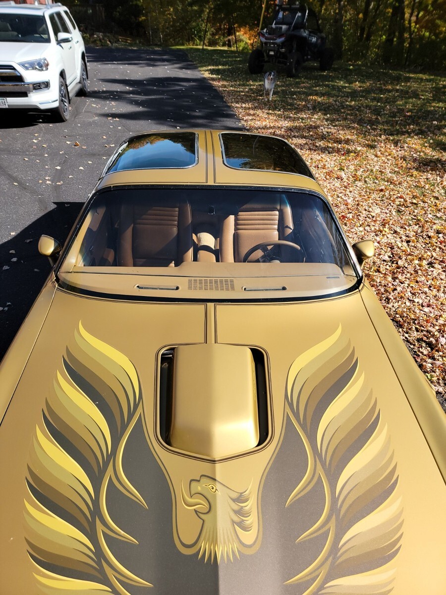 1978 Pontiac Trans Am - photo 8