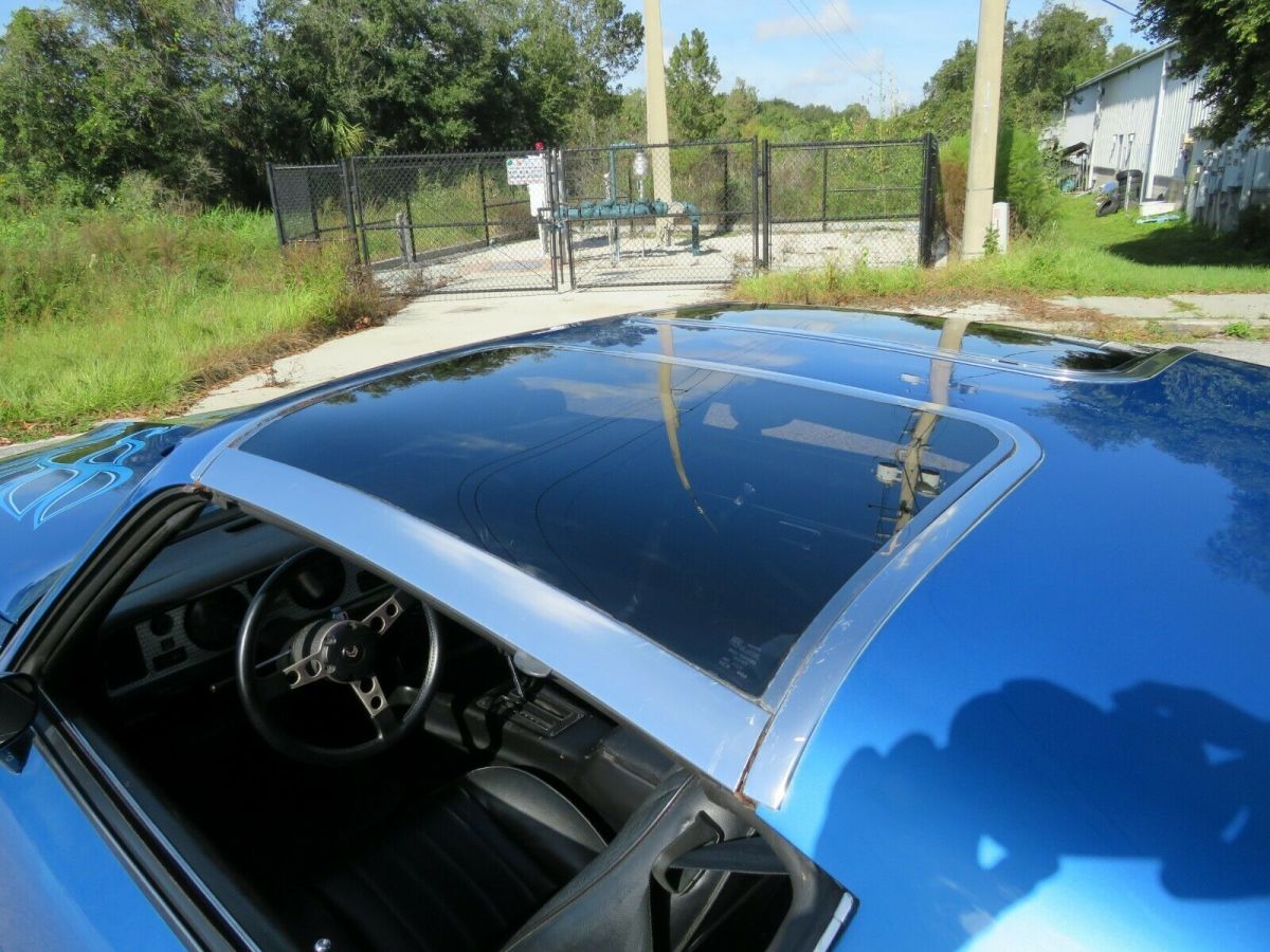 1978 Pontiac Trans Am - photo 11
