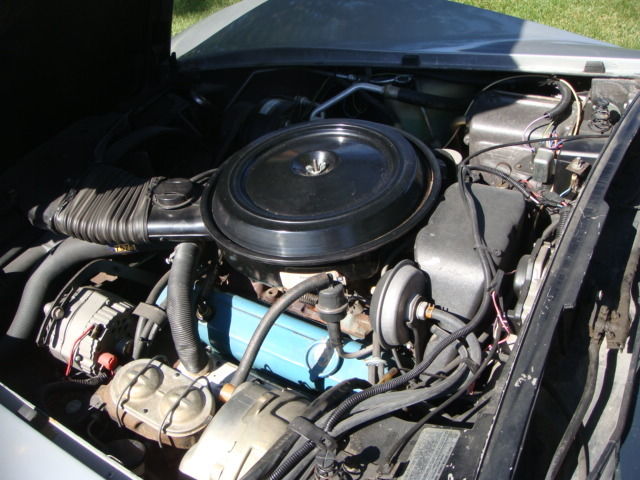 1978 Chevrolet Corvette 25th Anniversary - photo 12