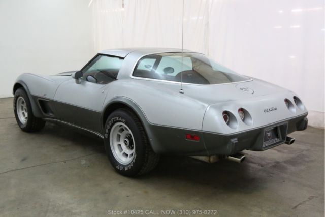 1978 Chevrolet Corvette Silver Anniversary Edition - photo 6