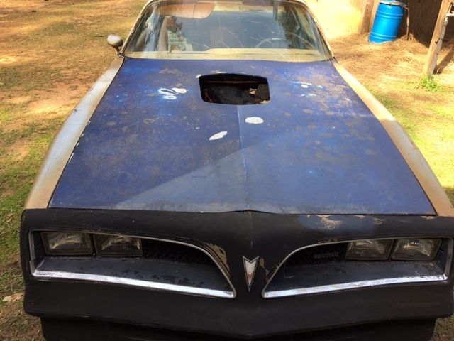 1978 Pontiac Trans Am SE - photo 8