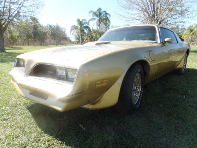 1978 Solar Gold Trans Am 1978 Pontiac Trans Am trans am eagle on hood and pin striping around car