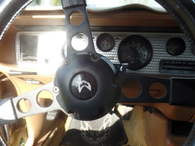 1978 Pontiac Trans Am trans am eagle on hood and pin striping around car - photo 13