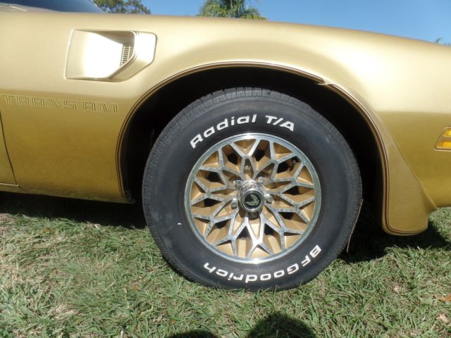 1978 Pontiac Trans Am trans am eagle on hood and pin striping around car - photo 4