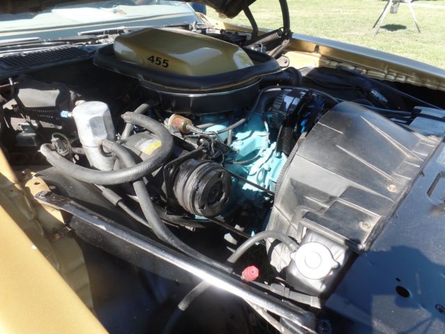 1978 Pontiac Trans Am trans am eagle on hood and pin striping around car - photo 7