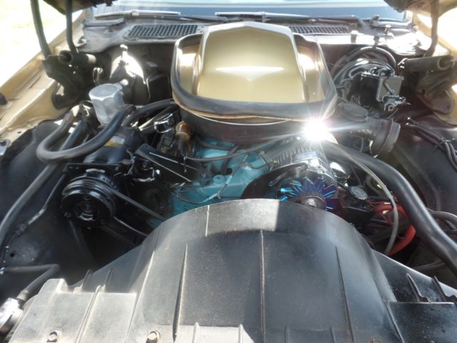 1978 Pontiac Trans Am trans am eagle on hood and pin striping around car - photo 8