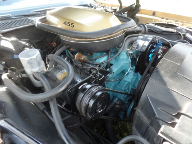 1978 Pontiac Trans Am trans am eagle on hood and pin striping around car - photo 9