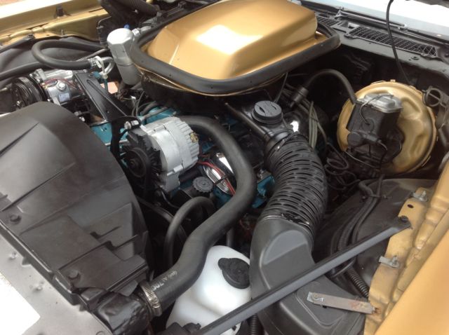 1978 Pontiac Trans Am - photo 8