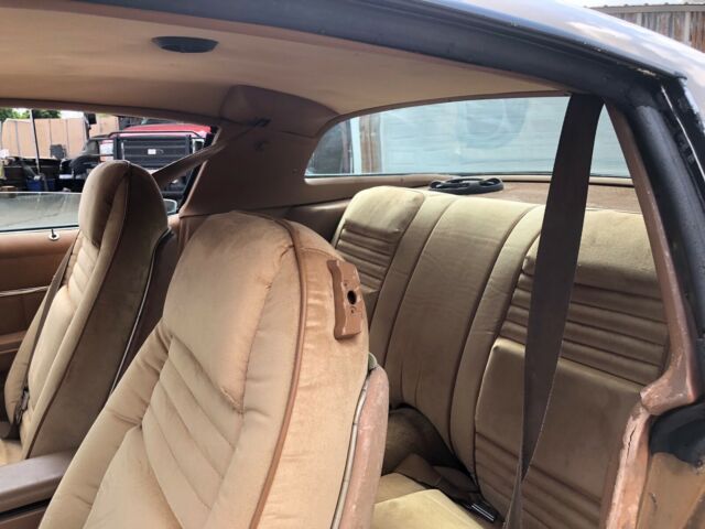 1978 Pontiac Trans Am WS6 - photo 11