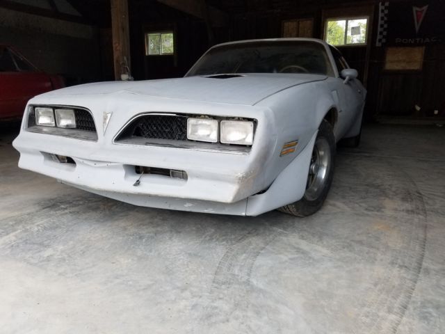 1978 Pontiac Trans Am Special Edition - photo 11