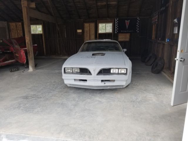 1978 Pontiac Trans Am Special Edition - photo 3