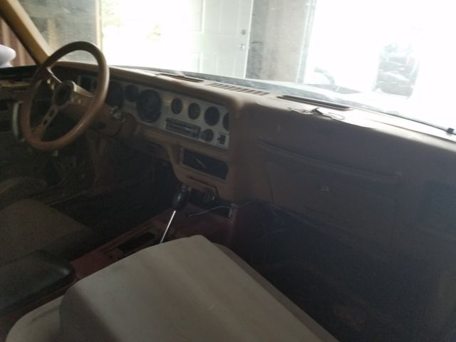 1978 Pontiac Trans Am Special Edition - photo 9