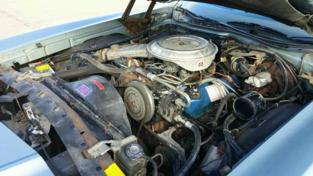 1978 Ford Thunderbird Diamond Jubilee - photo 4