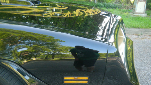 1978 Pontiac Trans Am - photo 12