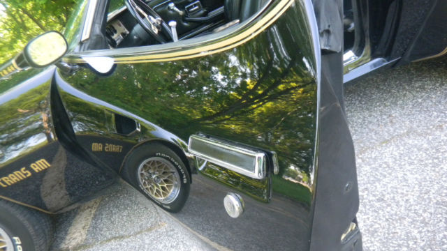 1978 Pontiac Trans Am - photo 8