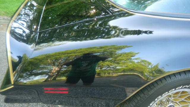 1978 Pontiac Trans Am - photo 9