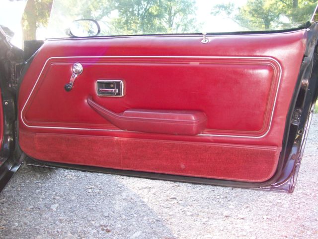 1978 Pontiac Trans Am Trans Am - photo 12