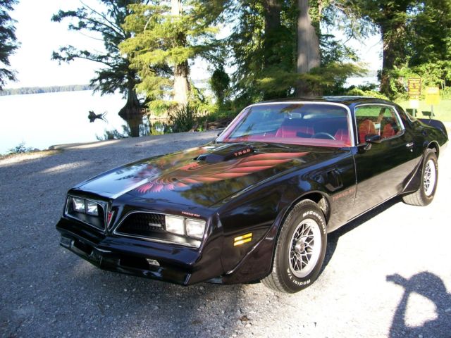 1978 Pontiac Trans Am Trans Am - photo 2