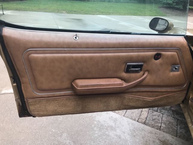 1978 Pontiac Trans Am Deluxe - photo 13