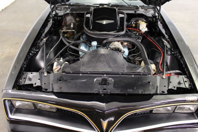 1978 Pontiac Trans Am Trans Am 6.6 auto WS6 - photo 12