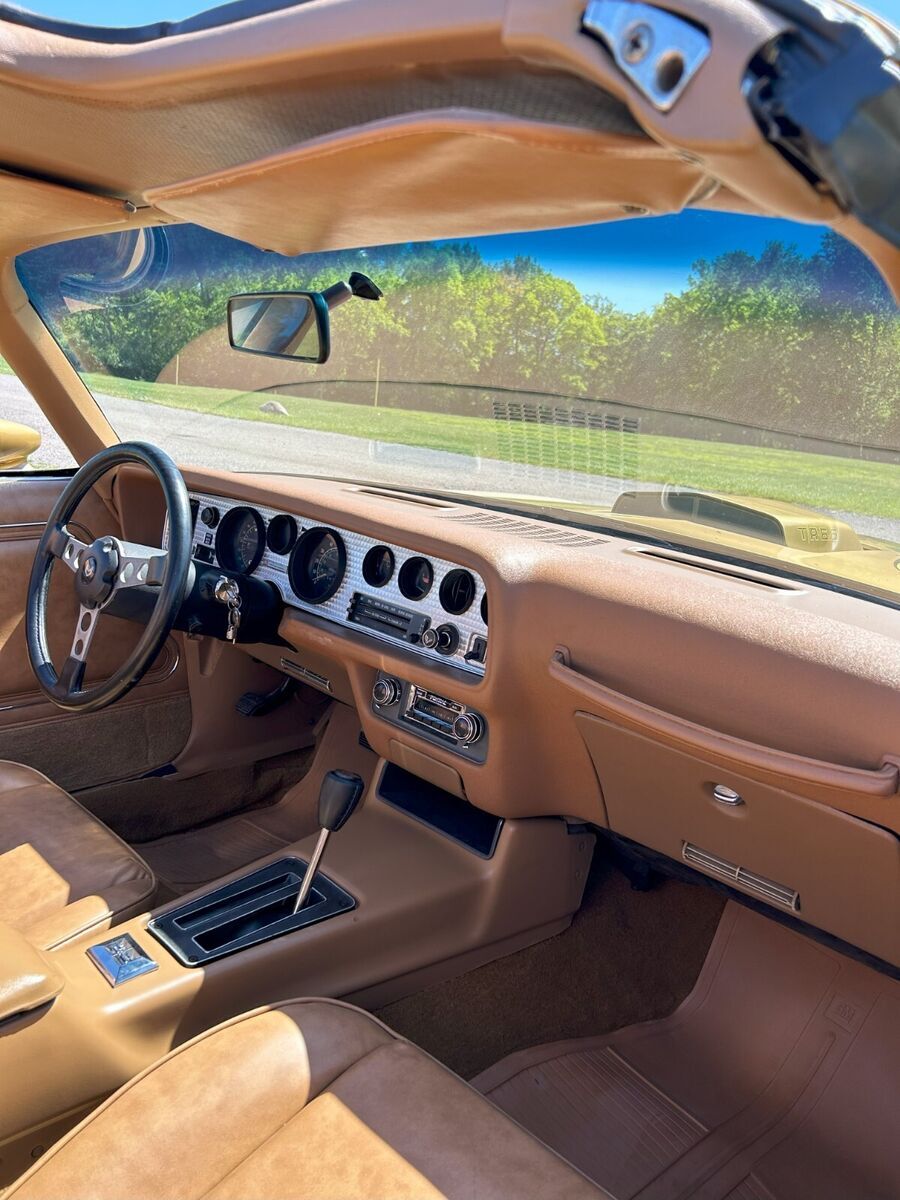 1978 Pontiac Trans Am - photo 10
