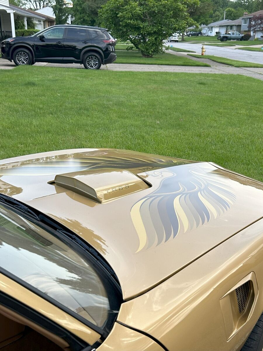 1978 Pontiac Trans Am - photo 11