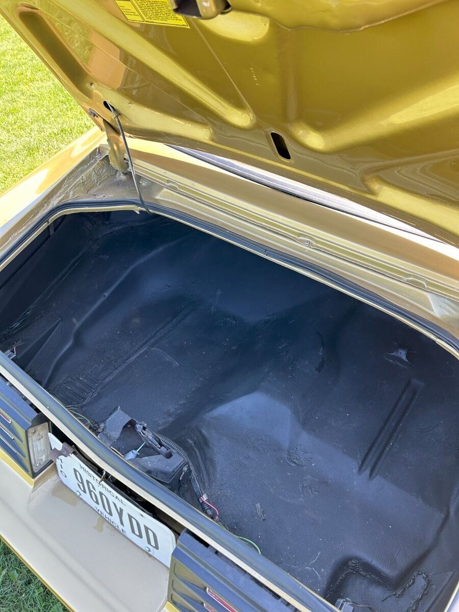 1978 Pontiac Trans Am - photo 13