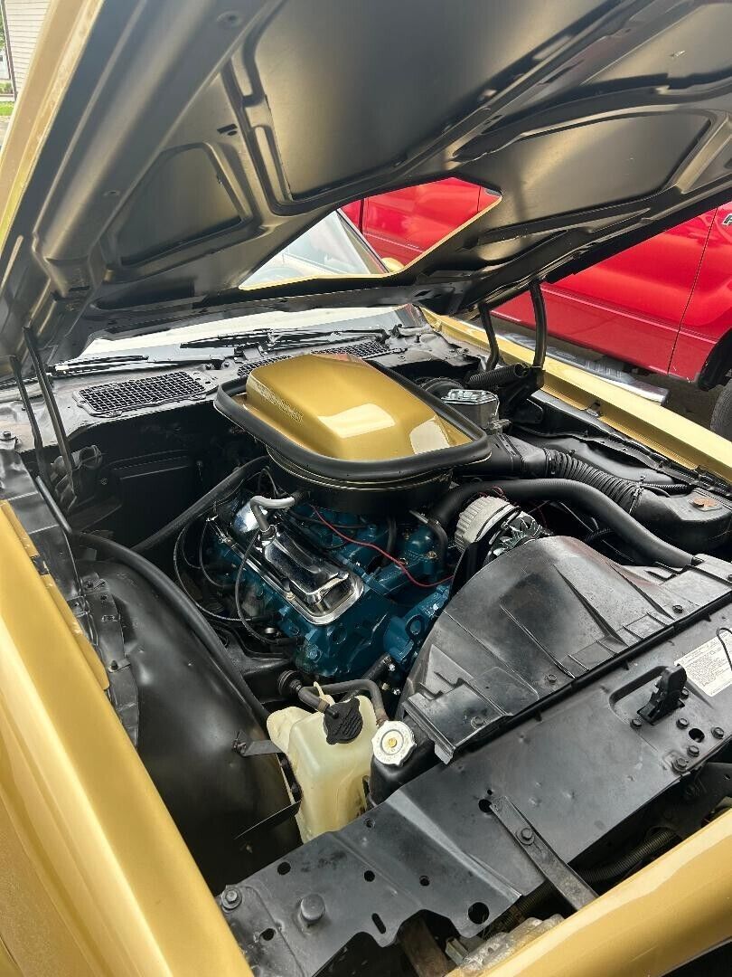 1978 Pontiac Trans Am - photo 5