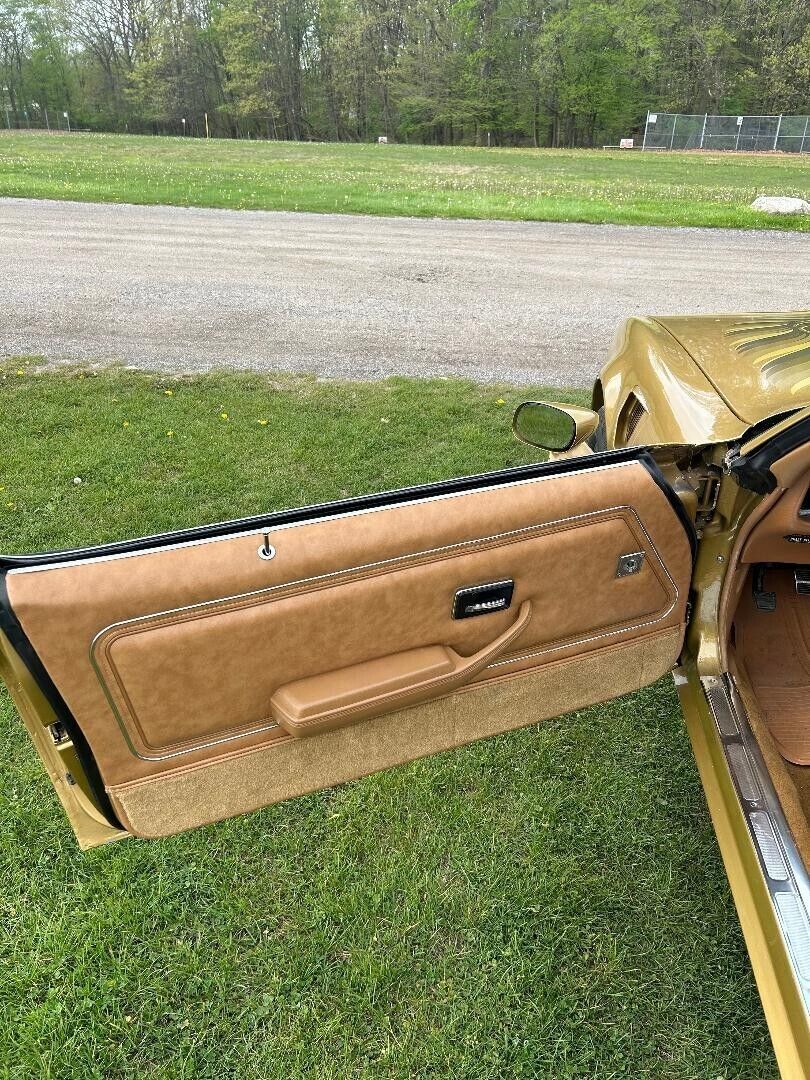 1978 Pontiac Trans Am - photo 7