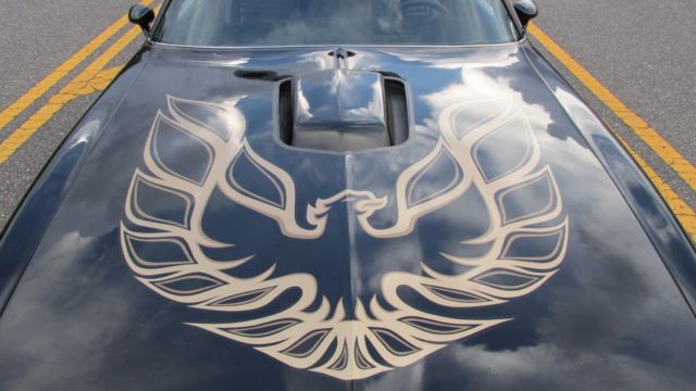 1978 Pontiac Trans Am - photo 5