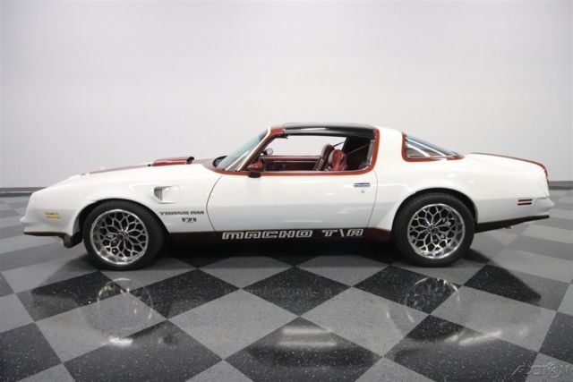 1978 Pontiac Firebird Trans Am DKM Macho - photo 11
