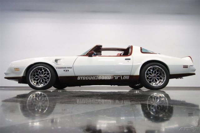 1978 Pontiac Firebird Trans Am DKM Macho - photo 12