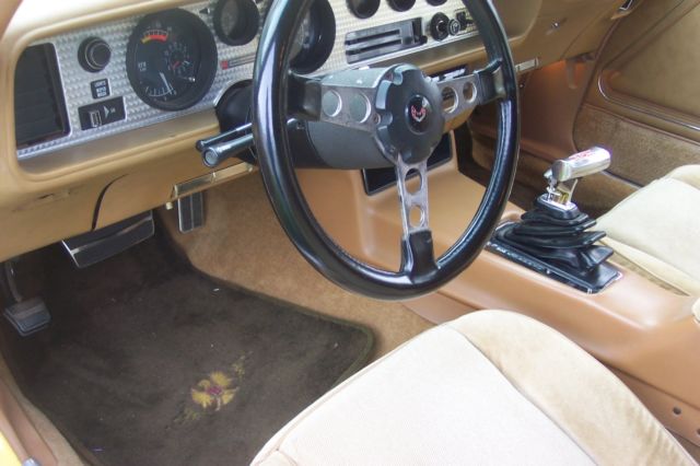 1978 Pontiac Firebird Trans am - photo 11
