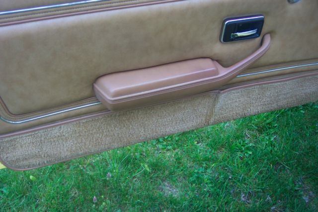 1978 Pontiac Firebird Trans am - photo 12