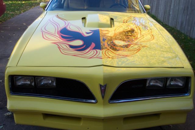 1978 Pontiac Firebird Trans am - photo 5