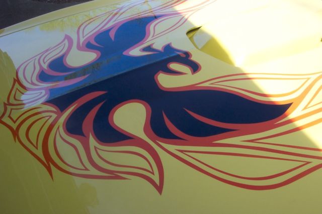 1978 Pontiac Firebird Trans am - photo 7