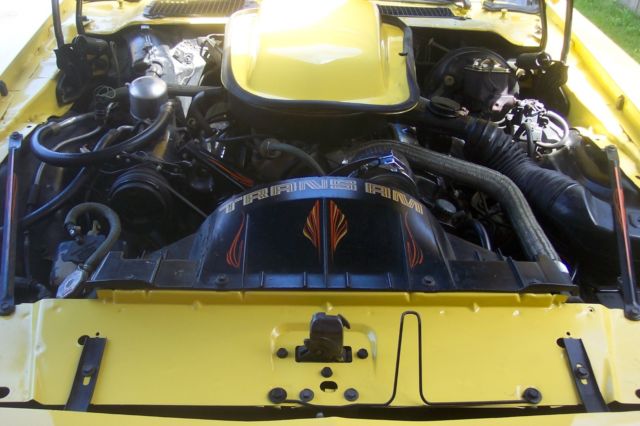 1978 Pontiac Firebird Trans am - photo 8