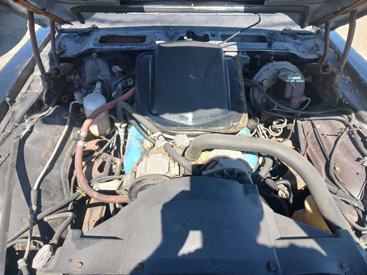 1978 Pontiac Trans Am - photo 11