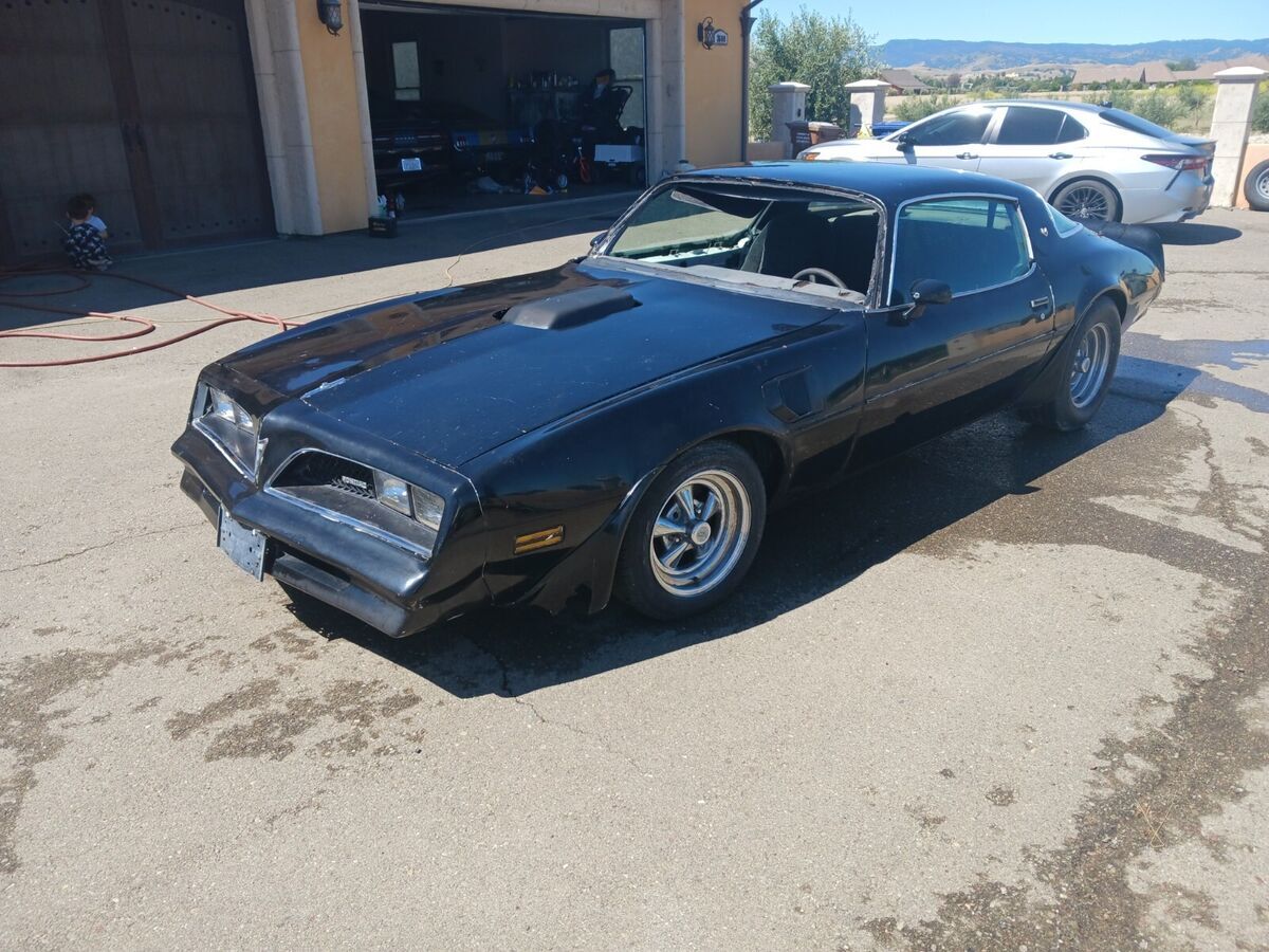 1978 Pontiac Trans Am - photo 7