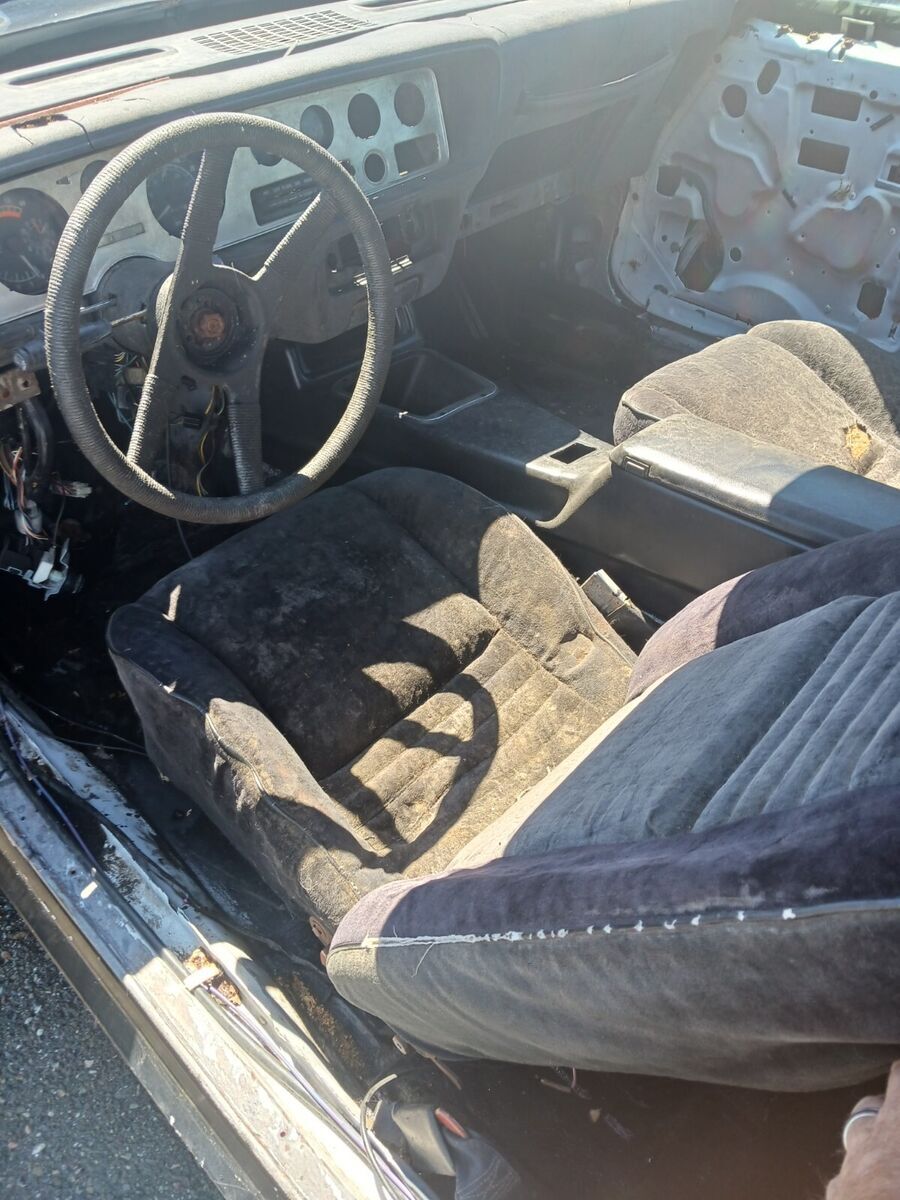 1978 Pontiac Trans Am - photo 8