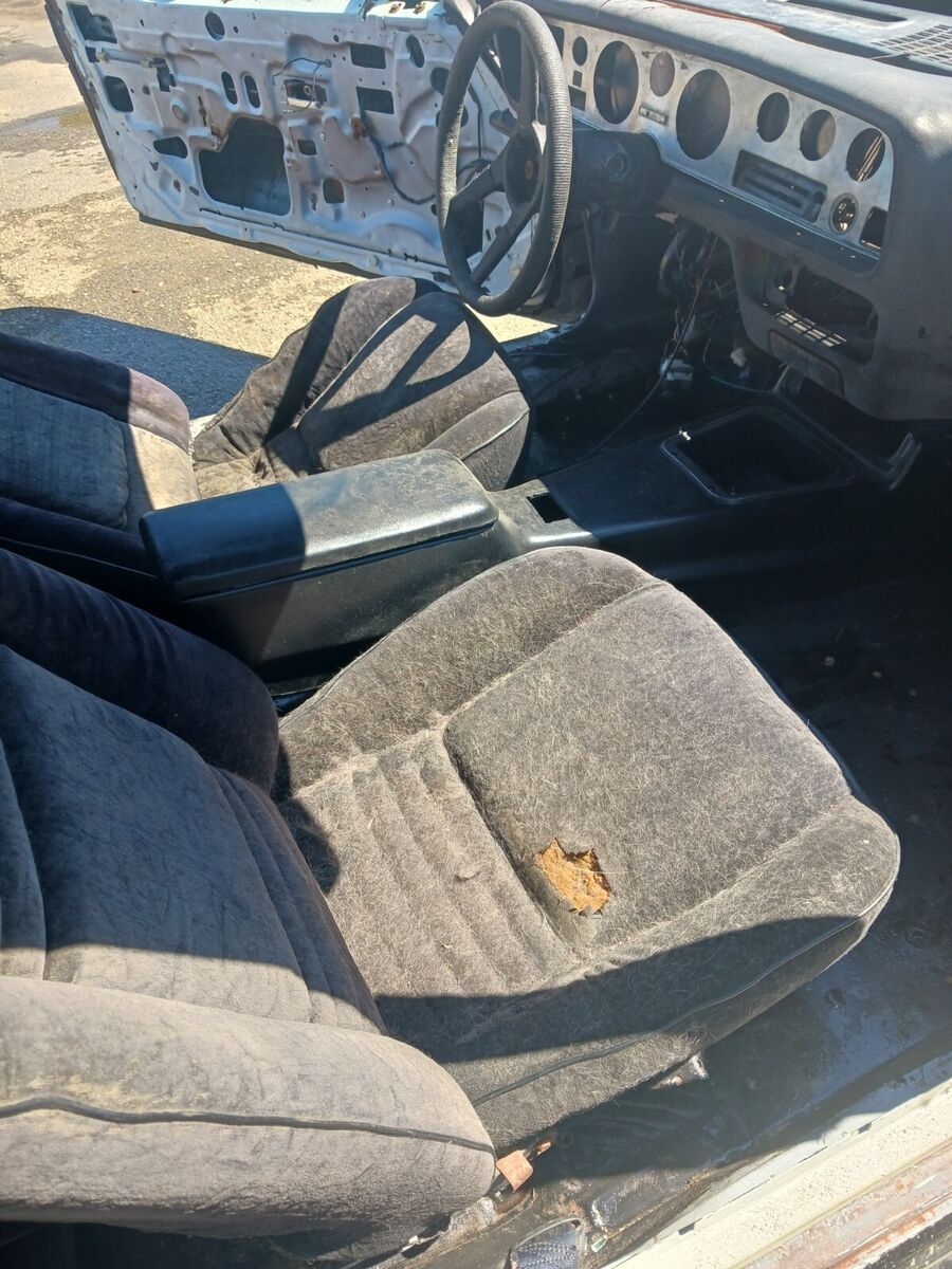 1978 Pontiac Trans Am - photo 9