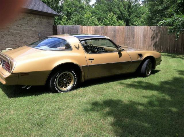 1978 Pontiac Trans Am Velour Lombary Cloth - photo 12