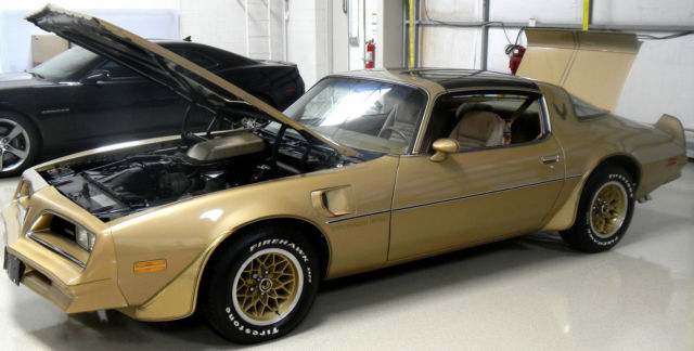 1978 Pontiac Trans Am Velour Lombary Cloth - photo 3