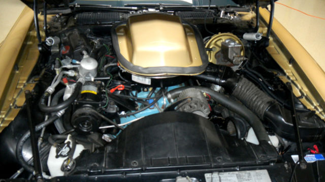 1978 Pontiac Trans Am Velour Lombary Cloth - photo 8