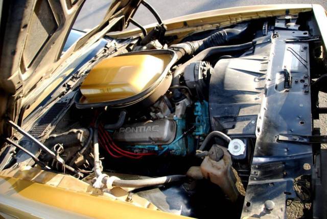 1978 Pontiac Trans Am - photo 10