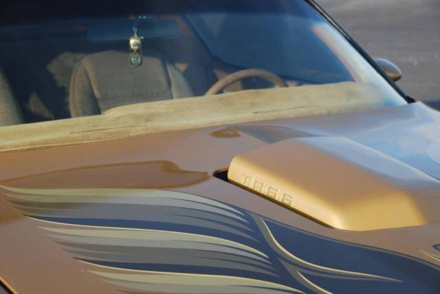 1978 Pontiac Trans Am - photo 8